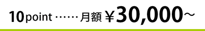 10pt 月額\30,000～